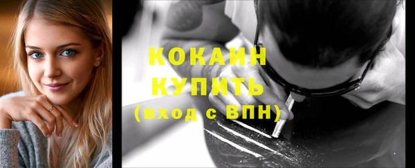 ешки Пестово