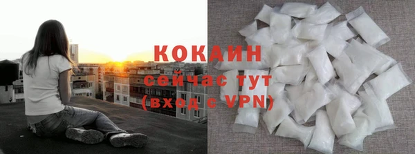 молекула духа Губаха
