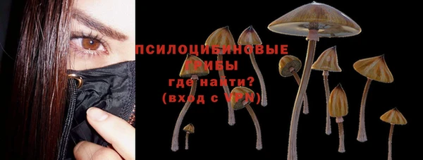 спиды Покров
