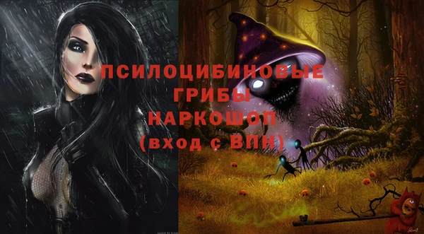ешки Пестово
