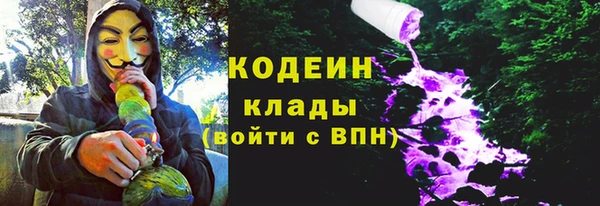 дурь Покачи