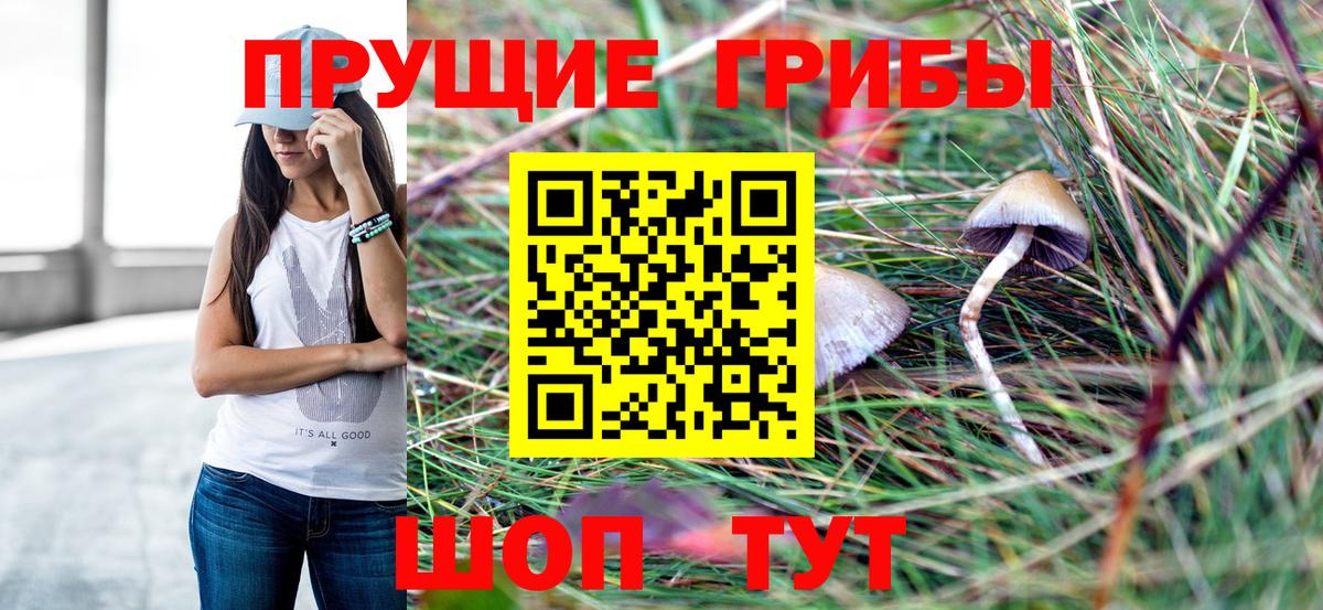 Галлюциногенные грибы MAGIC MUSHROOMS Саки