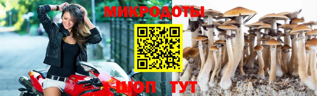 Псилоцибиновые грибы ЛСД Саки